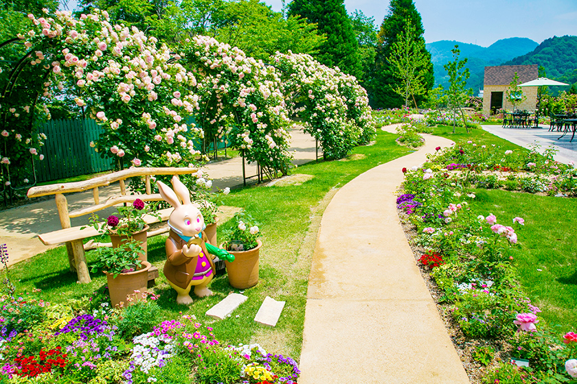 【レオマ花ワールド】アジアの遺跡と春の花々の競演を堪能しよう