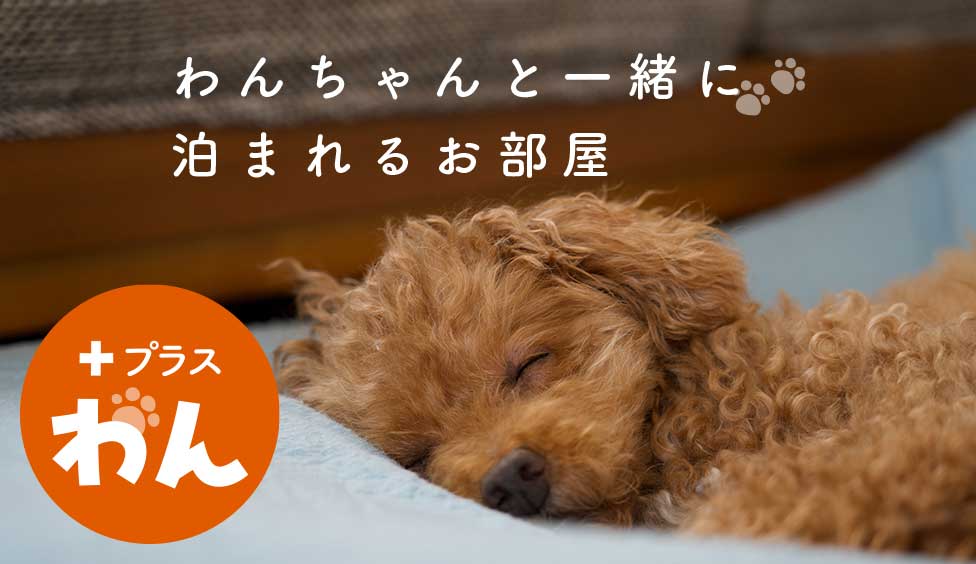 プラスわん