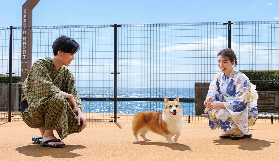 わんわんリゾート西伊豆