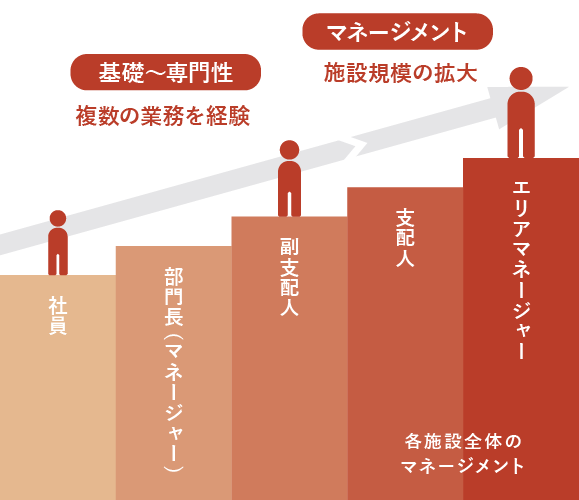 社員⇒部門長（マネージャー）⇒副支配人⇒支配人⇒エリアマネージャー