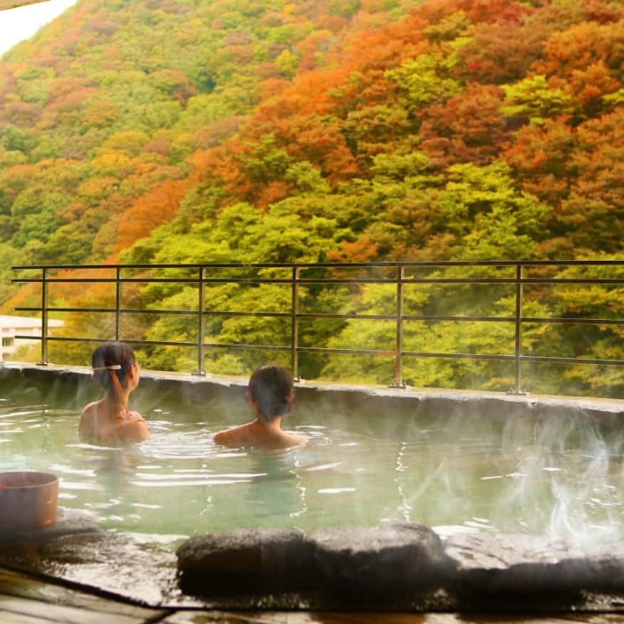 東山格蘭飯店（福島縣）