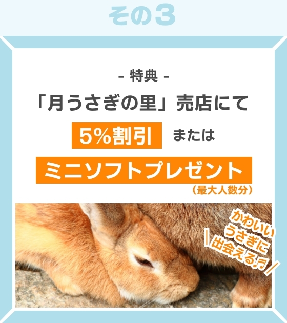 -特典- 「月うさぎの里」のうさぎの広場入場券 かわいいうさぎに出会える